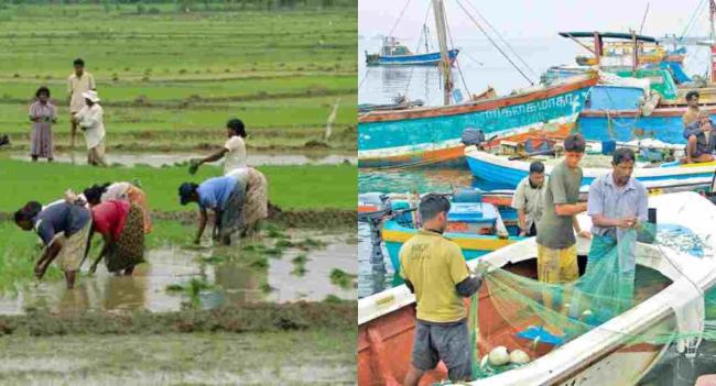 சீனாவிடமிருந்து கிடைத்த எரிபொருள் விவசாயிகளுக்கு..